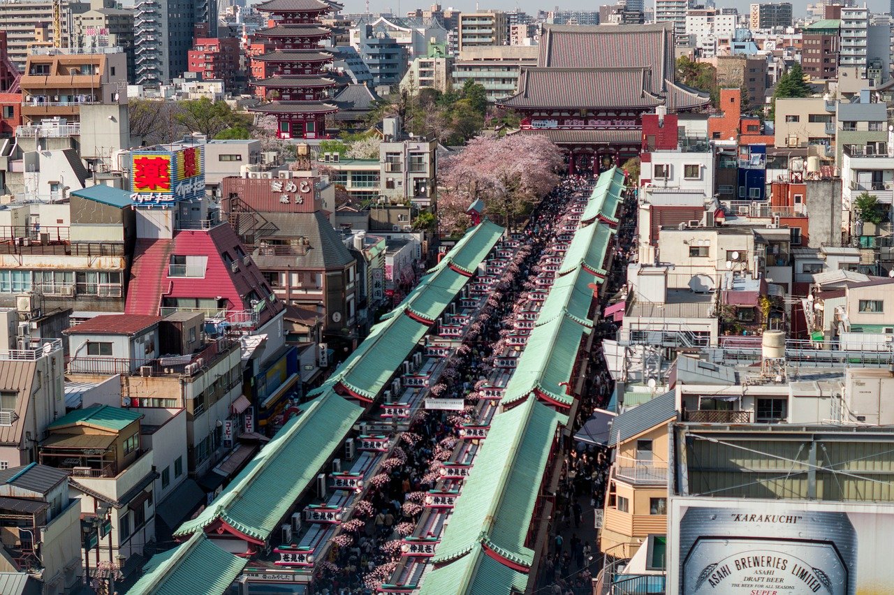 萝北高考后的新路径：为何选择去日本留学成就未来？